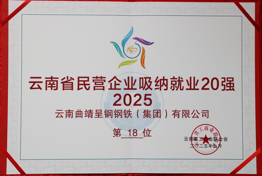 吸纳就业20强第8位.jpg